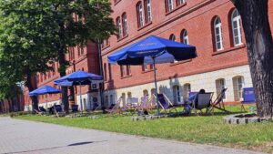 Niebieskie parasole nad leżakami na trawniku przed budynkiem Uczelni